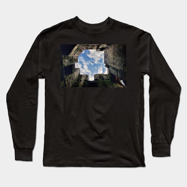 Flight To Freedom Long Sleeve T-Shirt by InspiraImage